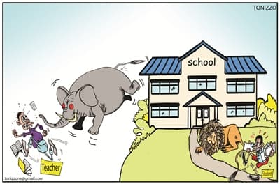 Wild animals force pupils out of schools
