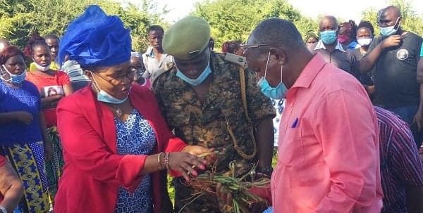Learning paralyzed in Ngiluni Primary as wild animals cause havoc