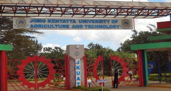 JKUAT orders students on attachment to clear fee arrears or risk repeating programme