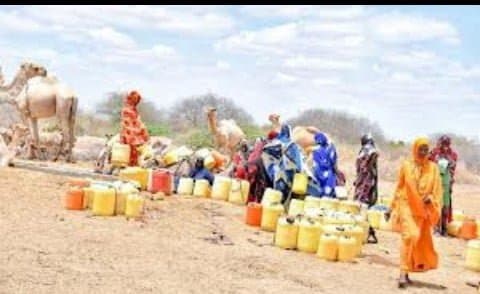 Biting drought driving children out of school