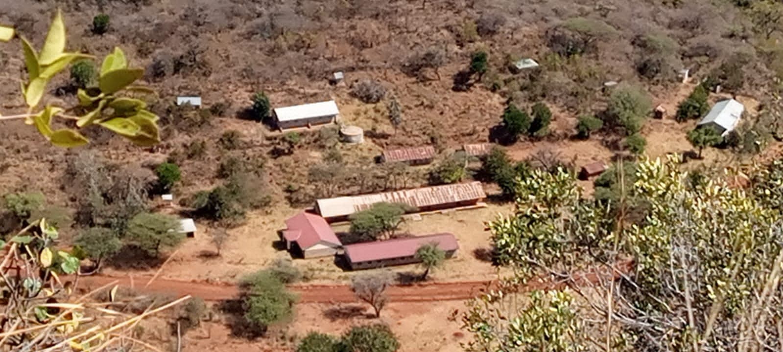 Learning paralyzed as bandits invade parts of Baringo