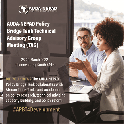 African think-tanks convene to shape its future development systems