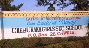 Rose Berda: Meet celebrated Principal giving hope to girl child image 1