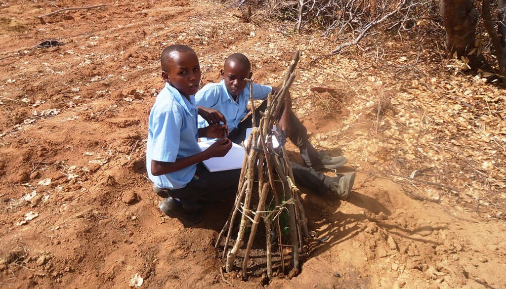 JICA launches school tree planting programme