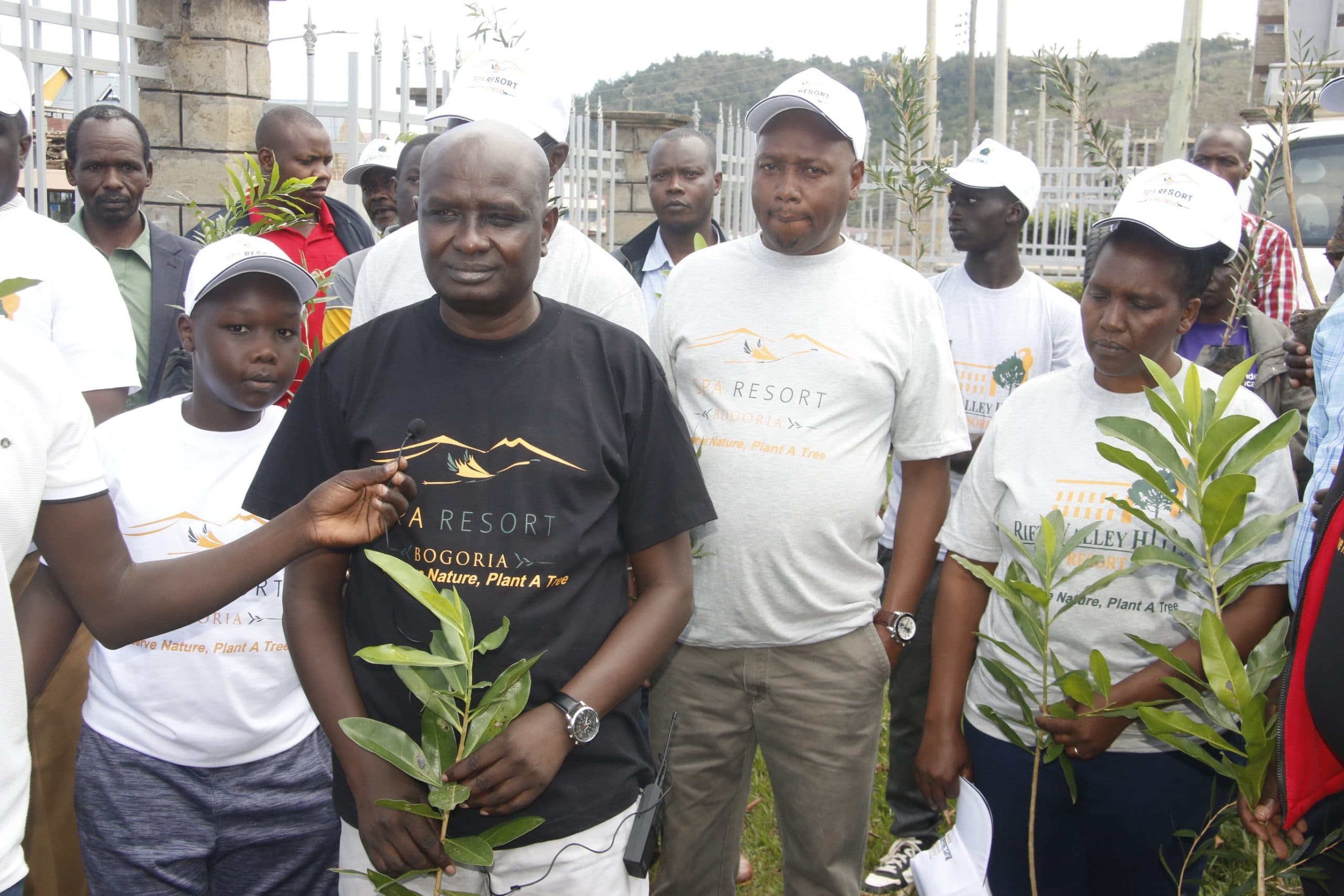 Professionals partner with schools to plant 350,000 trees