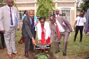 Graduands advised against sports betting image 1