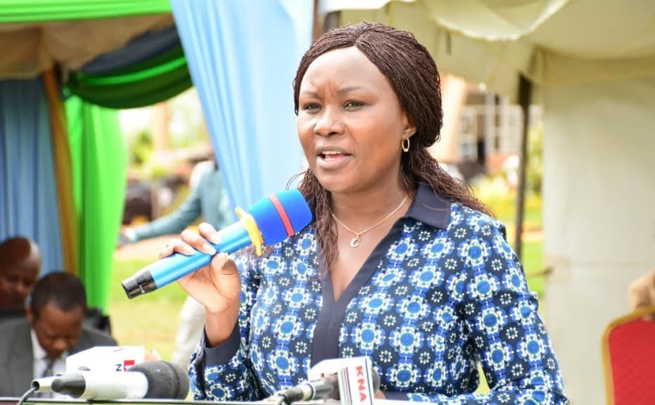 County to incorporate Scout Movement in tree planting project