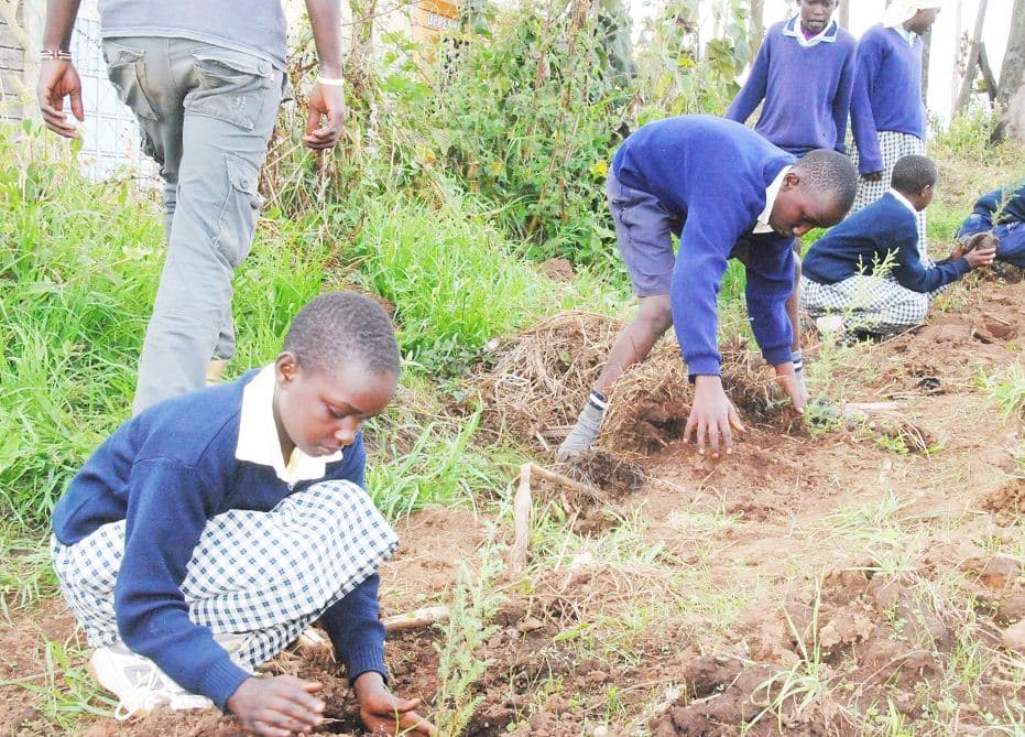 Govt petitioned to launch climate change campaigns in schools
