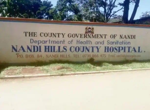 9 pupils hospitalized after falling off a tree at school