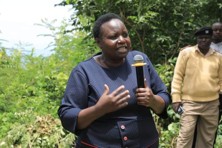 Kisii County Executive urges schools to plant trees to conserve environment