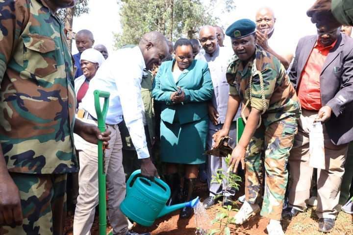 Kisii leaders unite for tree planting activity