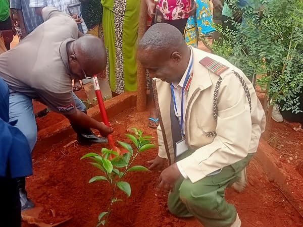 Voi students take lead in tree planting exercise image 1