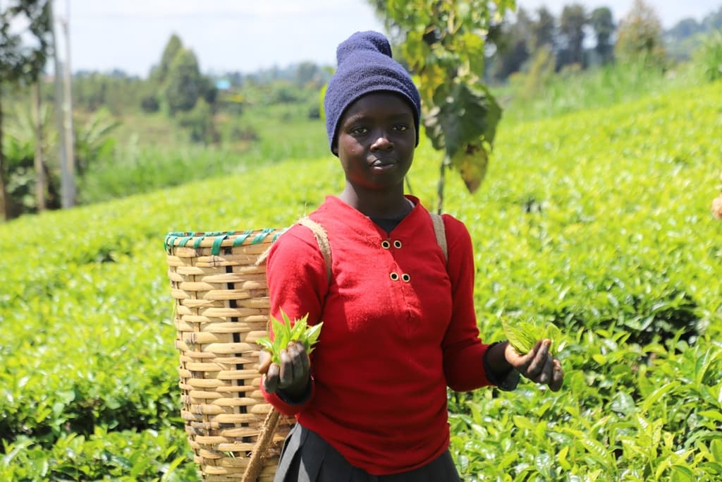 Two youngsters rescued from tea farms by well-wishers join Form One