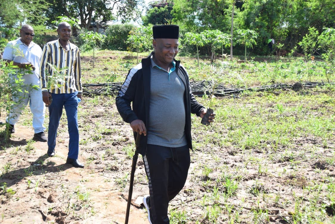 15,000 trees planted in 17 primary schools in Kitui image 1