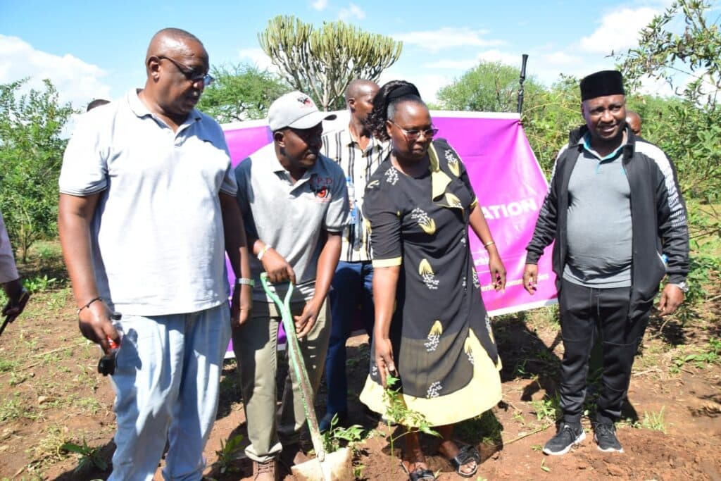 15,000 trees planted in 17 primary schools in Kitui image 2