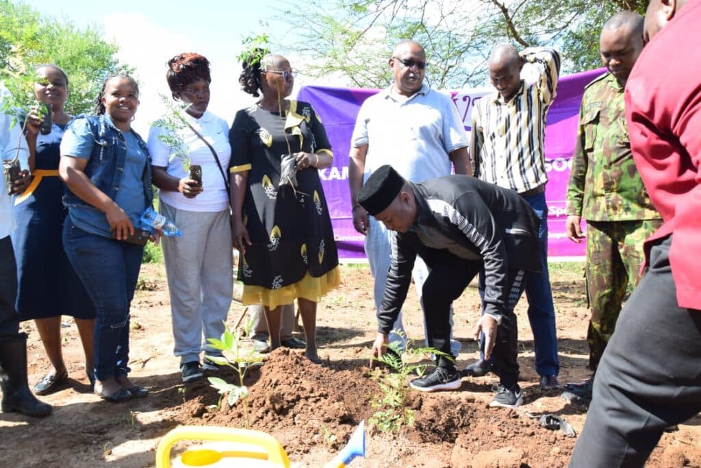 15,000 trees planted in 17 primary schools in Kitui image 5