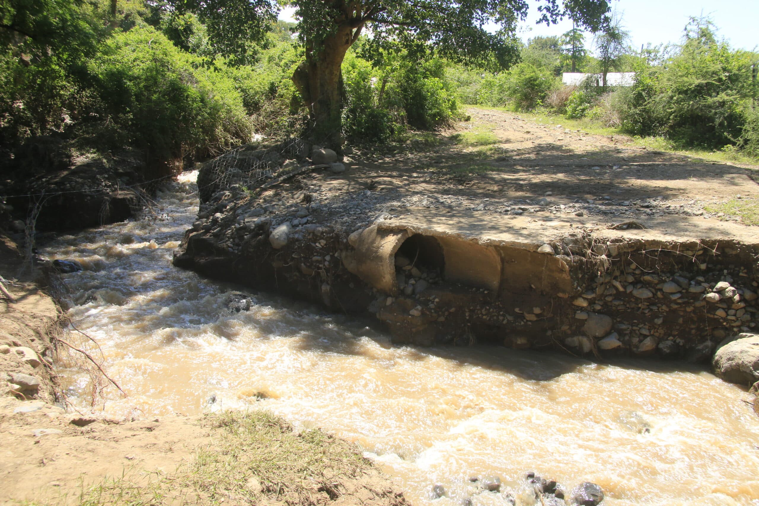 Reopening suspended for some schools in Elgeiyo Marakwet owing to damaged bridges image 1