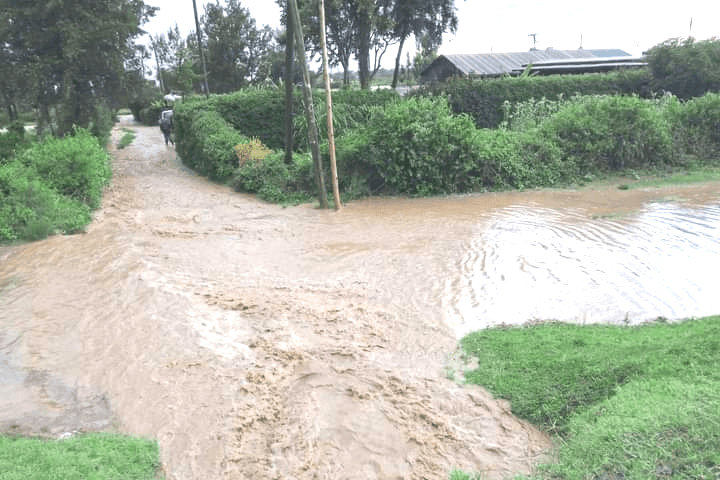 How government should be prepared for natural hazards to ensure continuation of learning