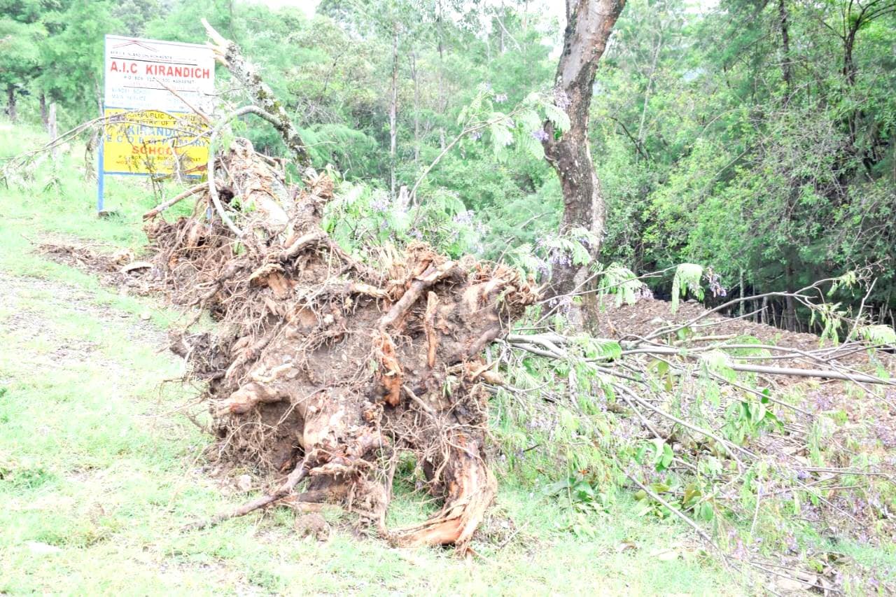 Government urged to prevent destruction of catchment areas in Baringo