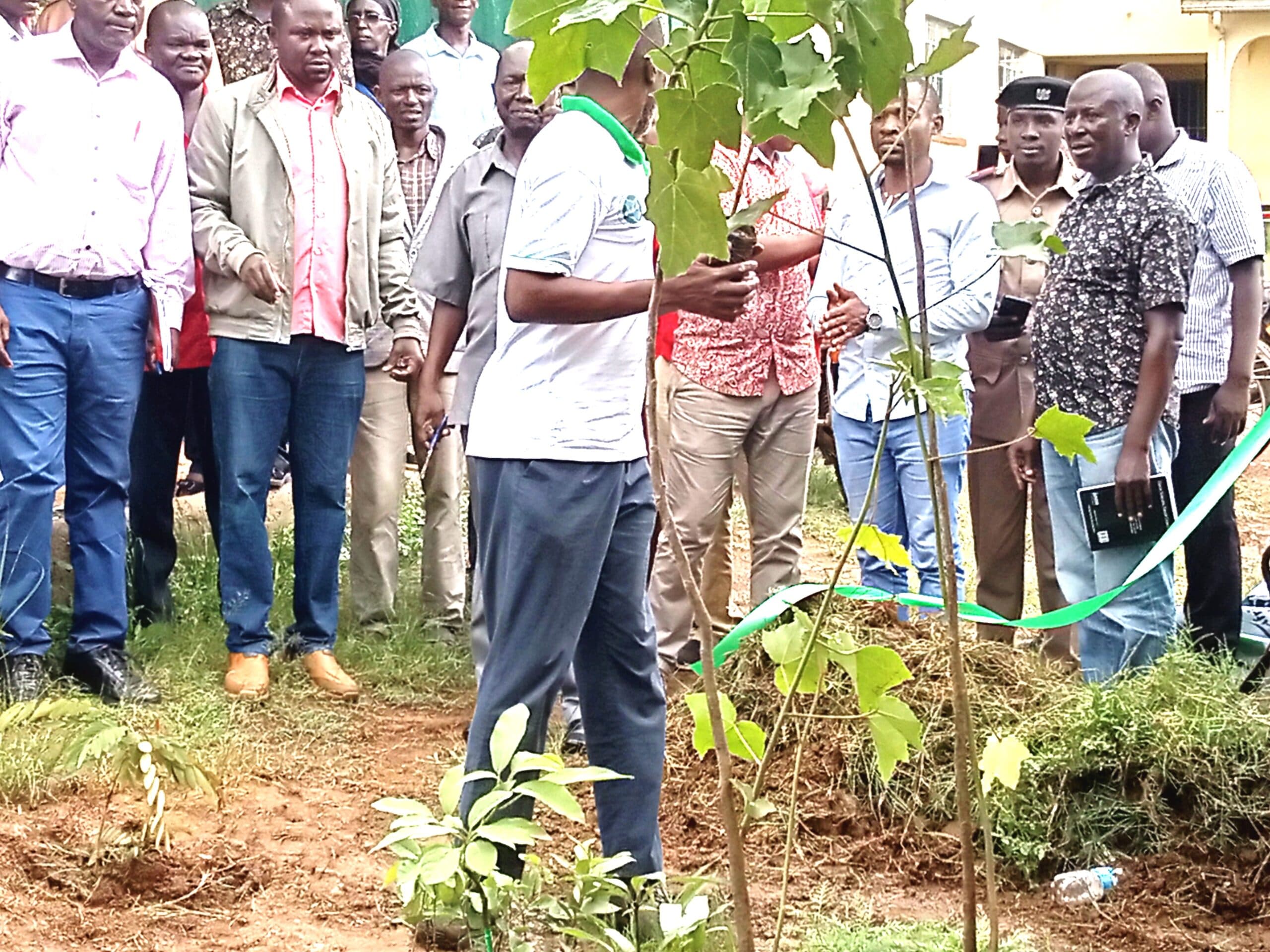 Primary schools in Bondo earmarked to lead tree planting initiatives