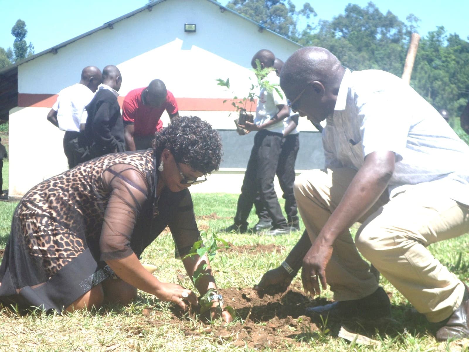 Schools in Kakamega North plant trees in bid to promote green cover