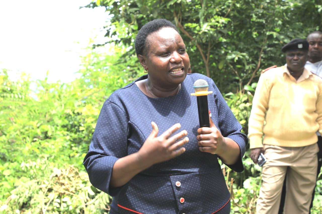700 fruit trees planted in Kisii schools to commemorate World Environment Day