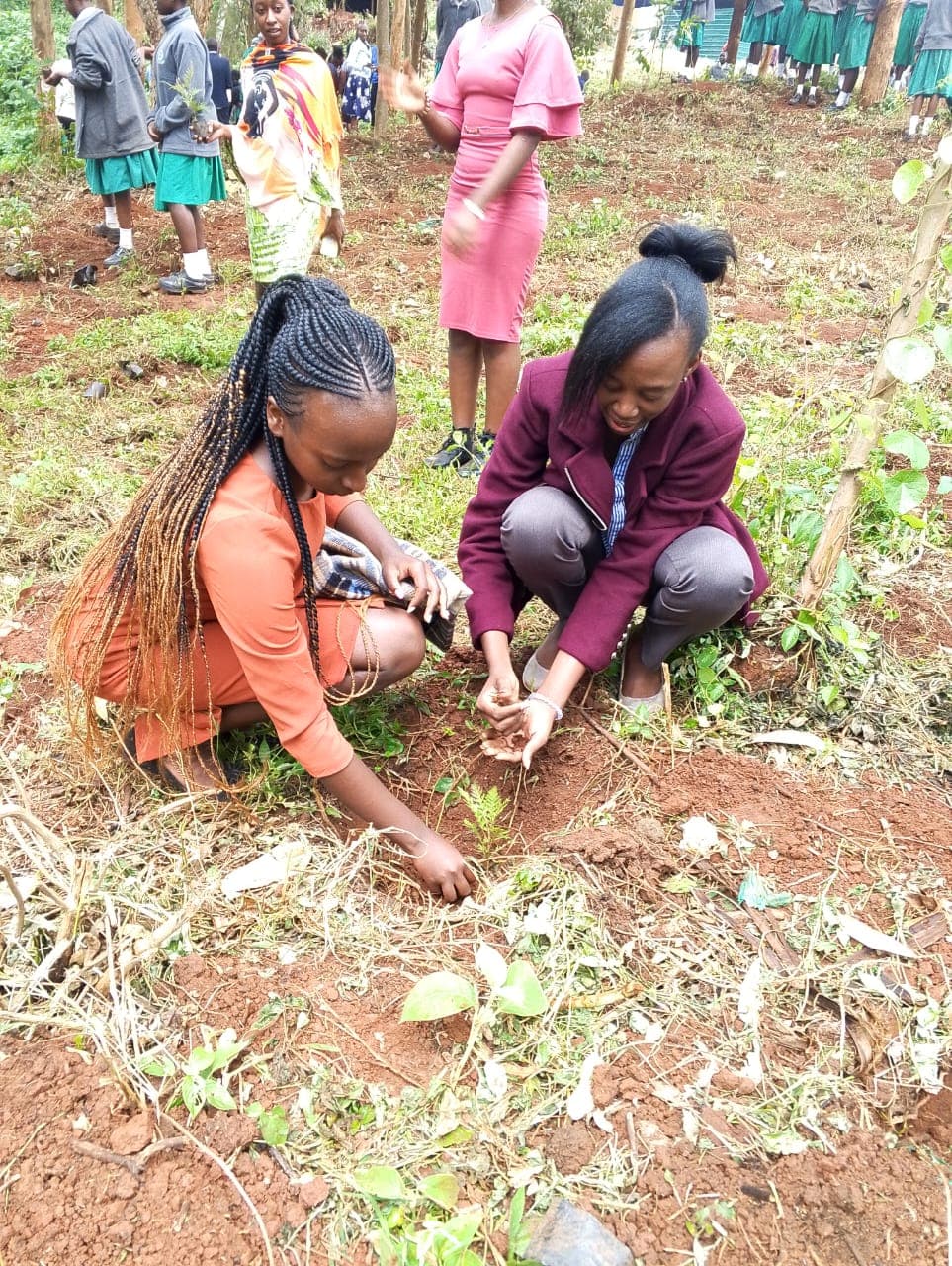 St Monica Kitale stretches the limits to plant over 1000 trees image 1