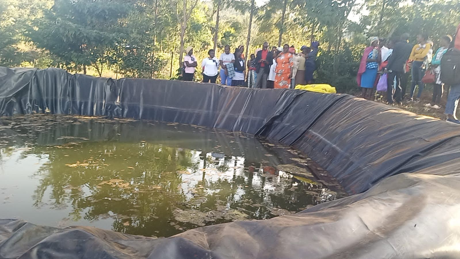 Sad news as two more children drown in a private dam
