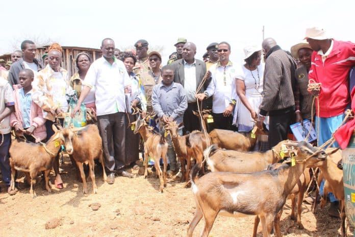 Over 140 families to get dairy goats to improve child nutrition in ASAL regions of Meru