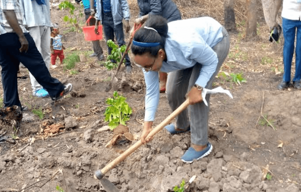 Student environmental association links conservation to mental health