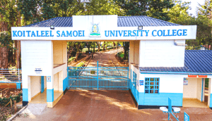 university