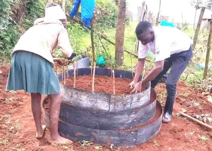 Good news as Kenyan teacher shortlisted for KSh129 million global award