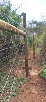 Kenya Power on spot over loose electricity lines near school in Kisii