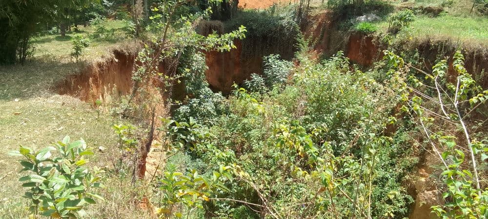 Plea for help as deep gulley poses grave danger to Bondeni School learners in Kakamega