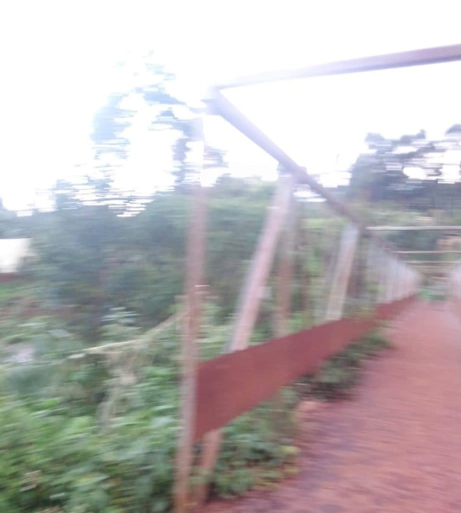 Govt finally constructs collapsed bridge that prevented children from going to school image 1