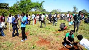 Varsity, AFA lead in greening agenda image 1