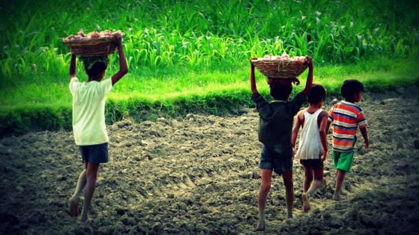 How child labor is keeping many children out of school