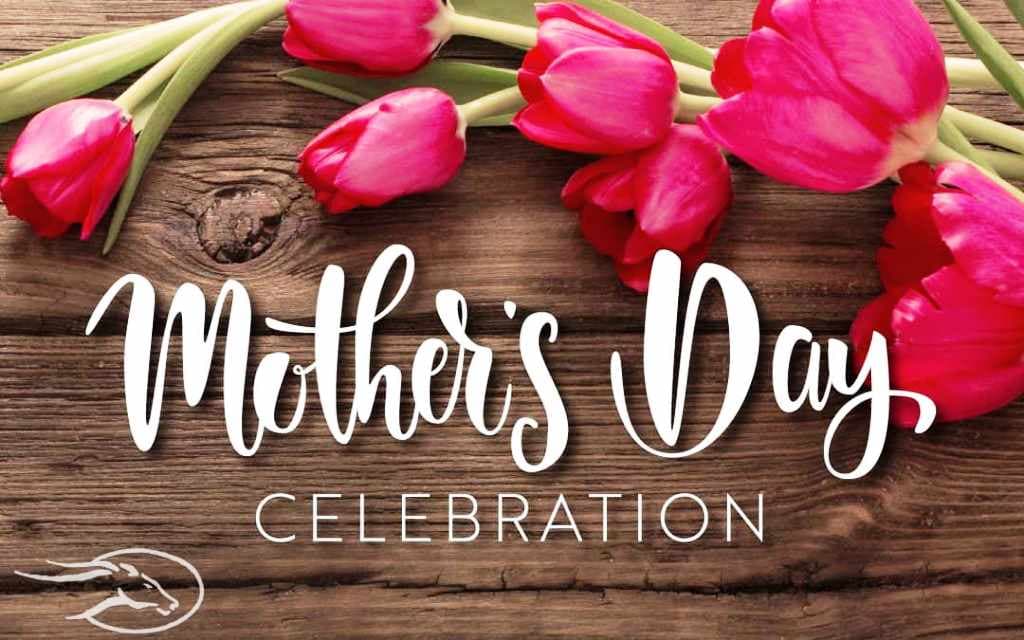 Mother’s Day: Why schools must honour teachers’ maternity rights image 2