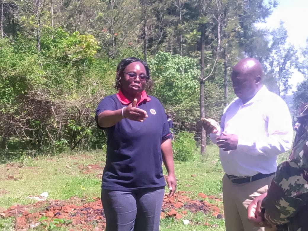 Learners encouraged to be environment ambassadors as KIE donates trees to schools
