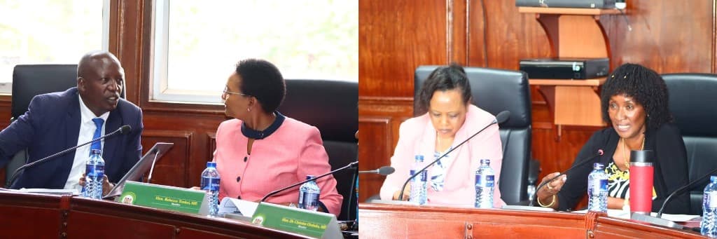 ASAL counties bear the brunt of teacher promotion slash