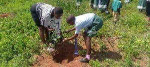 Muchukwo learners, Treemissions partner for reforestation at Lake Kamnarok, planting over 11000 trees image 1