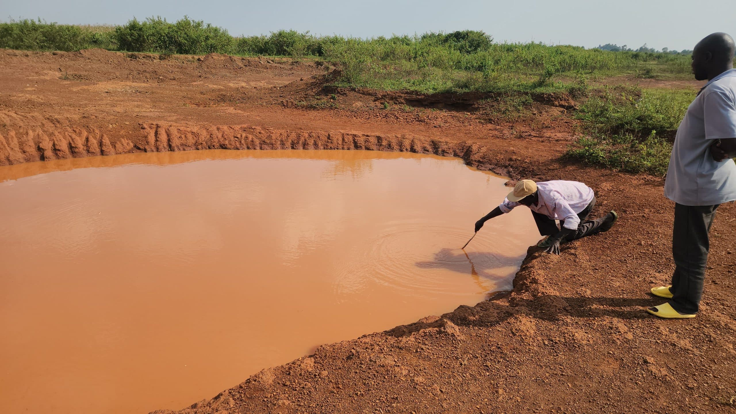 Grade one pupil drowns in a pond in Busia