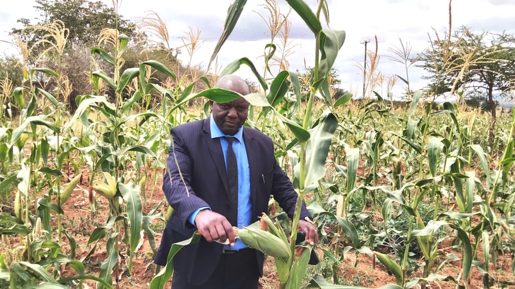 From barren to bounty: Farmer-principal turns Masinga Boys into agricultural powerhouse