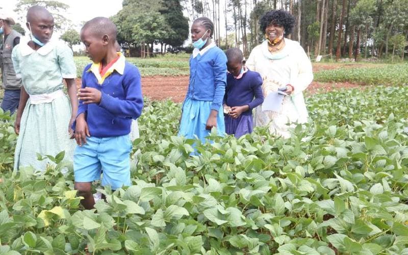 Kiambu Pupils enlightened on modern farming, KOPIA champion early agricultural literacy
