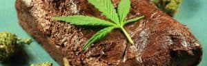 Gov’t cracks down on cannabis-laced snacks amid rising drug abuse in universities image 1