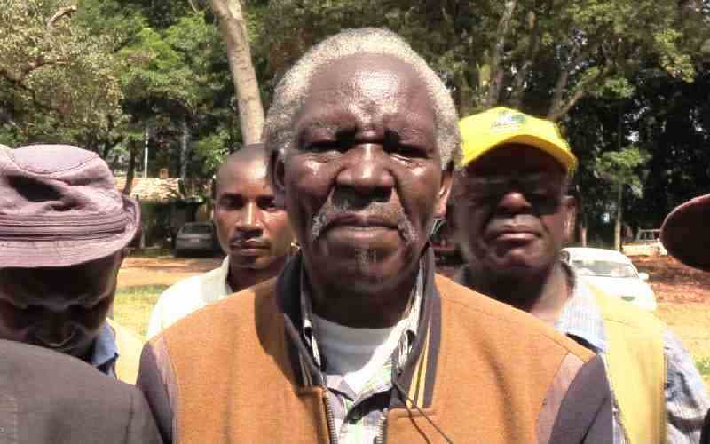 Luhya elders blame lack of cleansing for frequent strikes at Mbale Boys