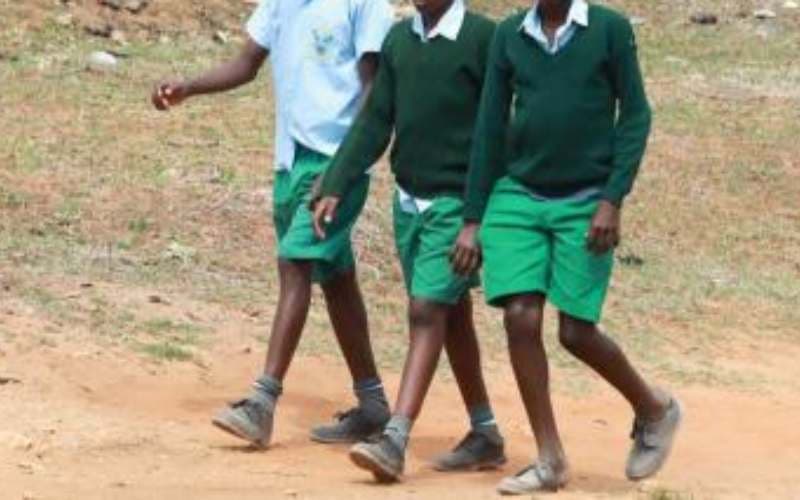Protecting the boy child in school from all forms of abuse