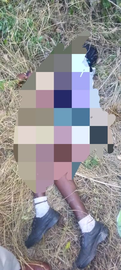 Suba North MP condemns brutal murder of JSS student in Homa Bay