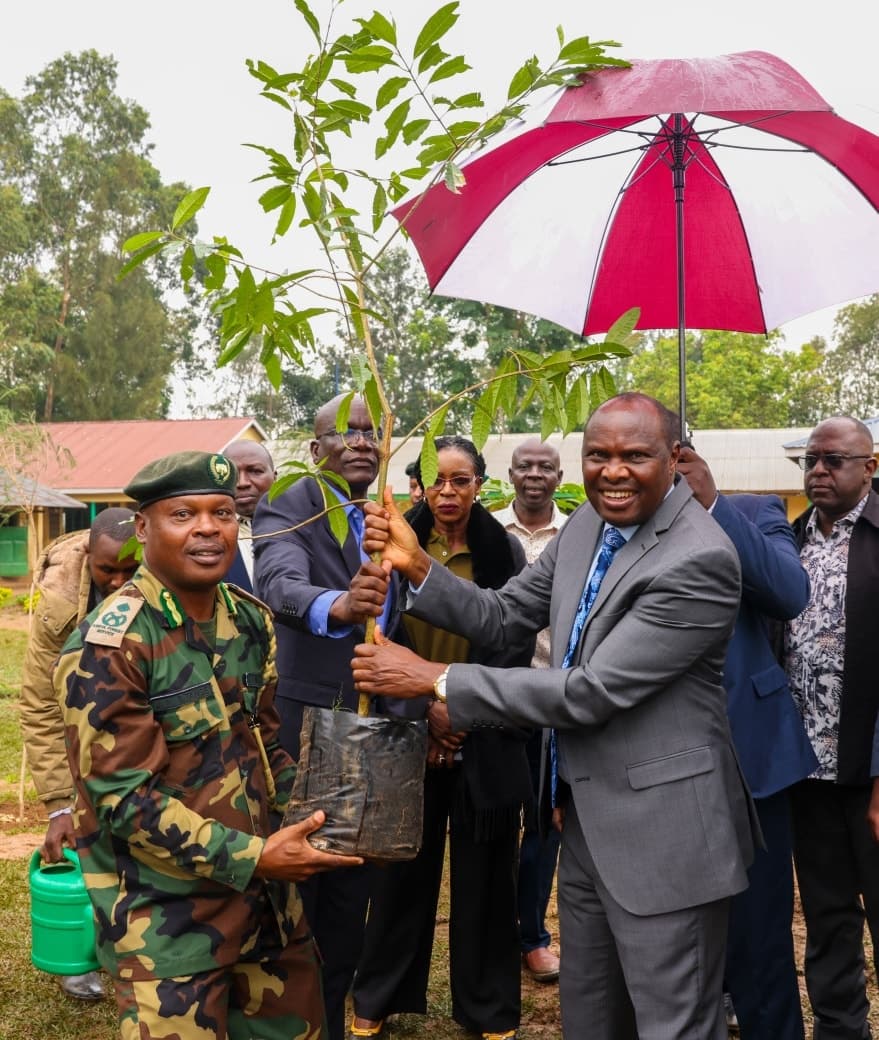 Head of Public Service Koskei presides over school tree planting drive in Busia