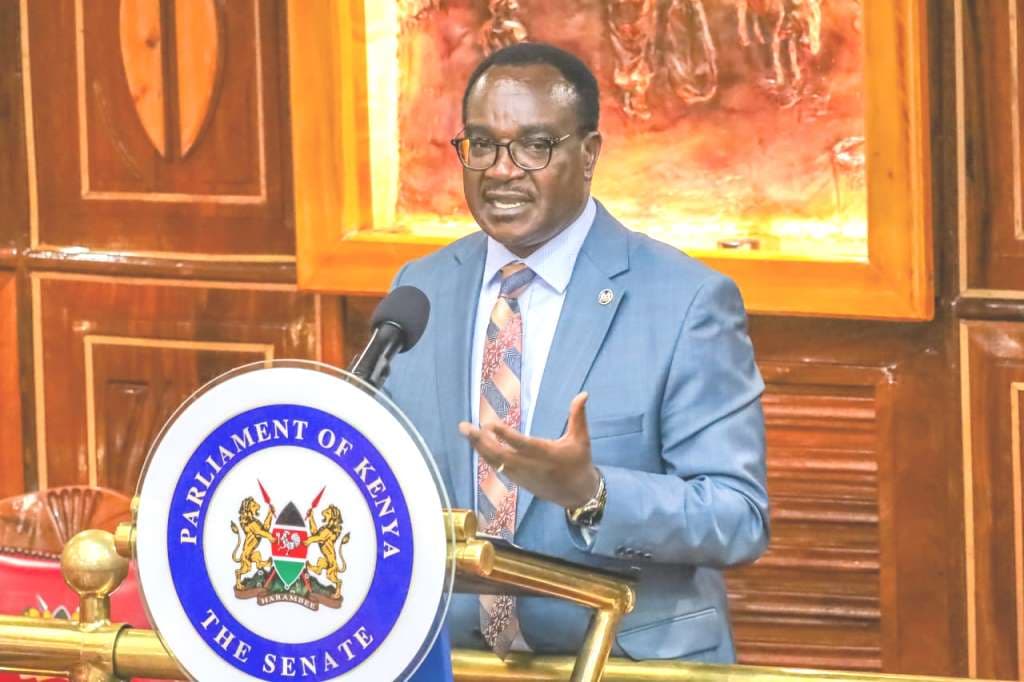 MoE to release report on ghost schools fraud next week